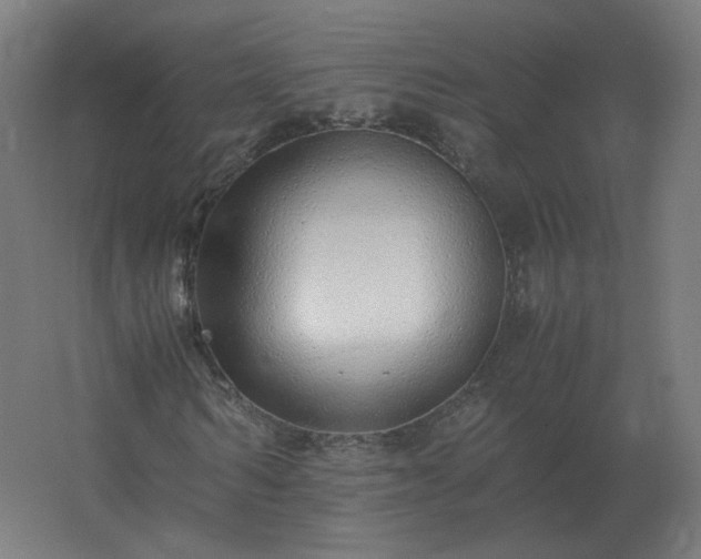 X0000062800962200512290244