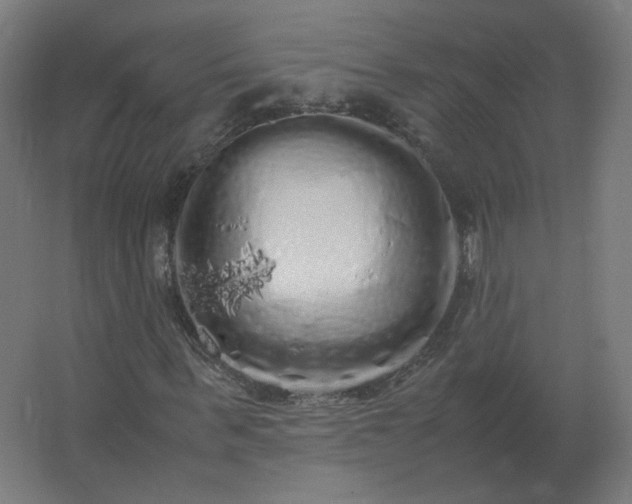 X0000062800963200512290244