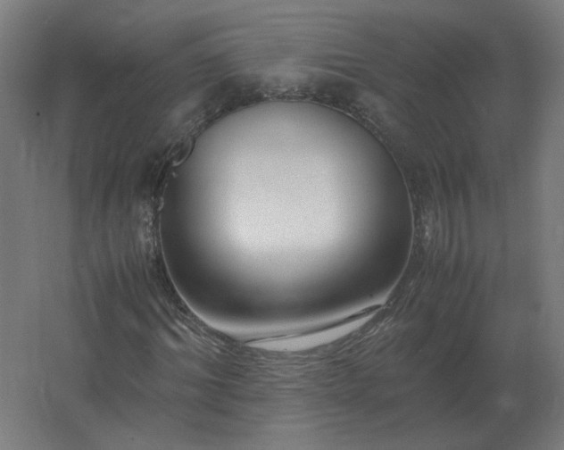 X0000062800964200512290244