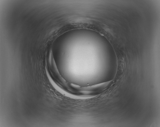 X0000062800965200512290244