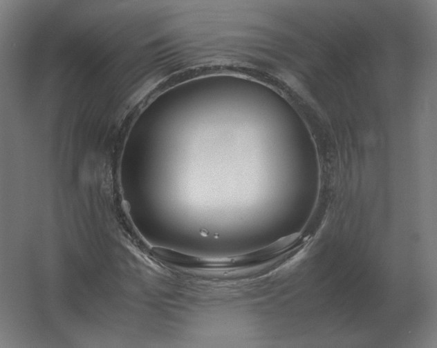 X0000062800969200512290244
