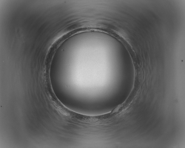 X0000062800971200512290244