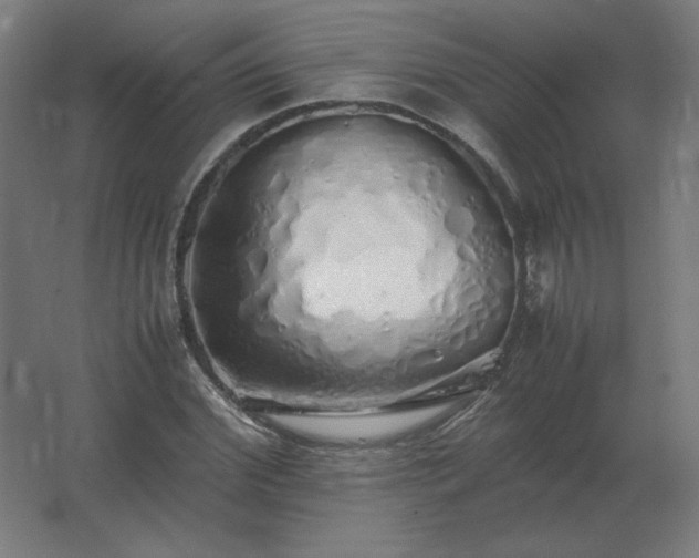X0000062800972200512290244