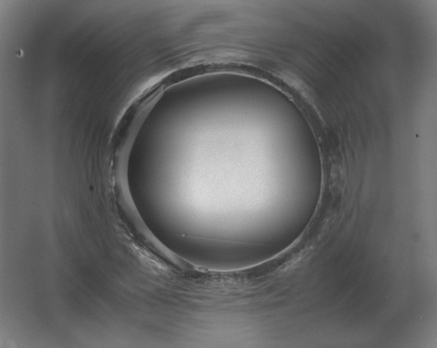X0000062800973200512290244