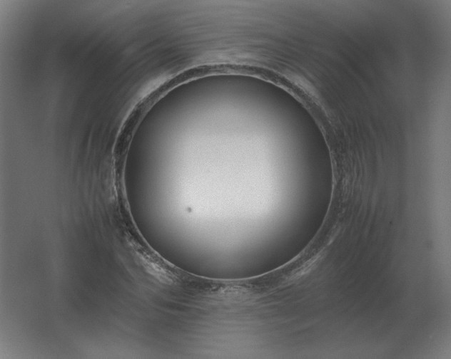 X0000062800974200512290244