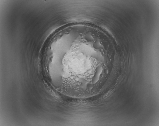 X0000062800975200512290244