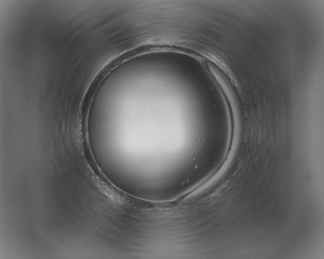 X0000062800976200512290244