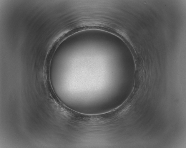 X0000062800979200512290244