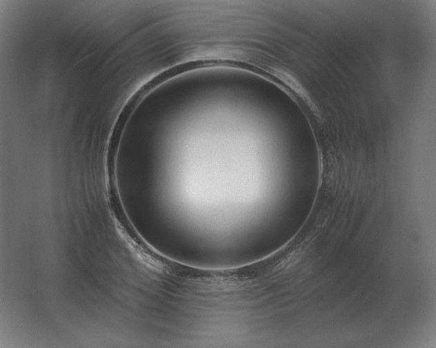 X0000062800980200512290244