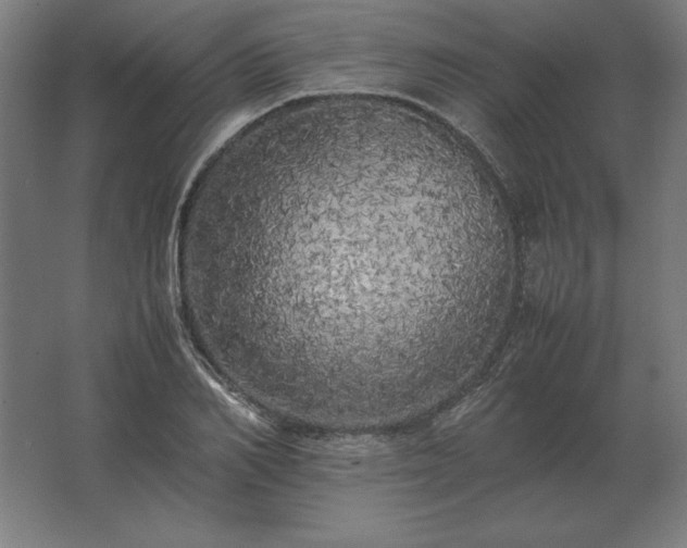 X0000062800982200512290244
