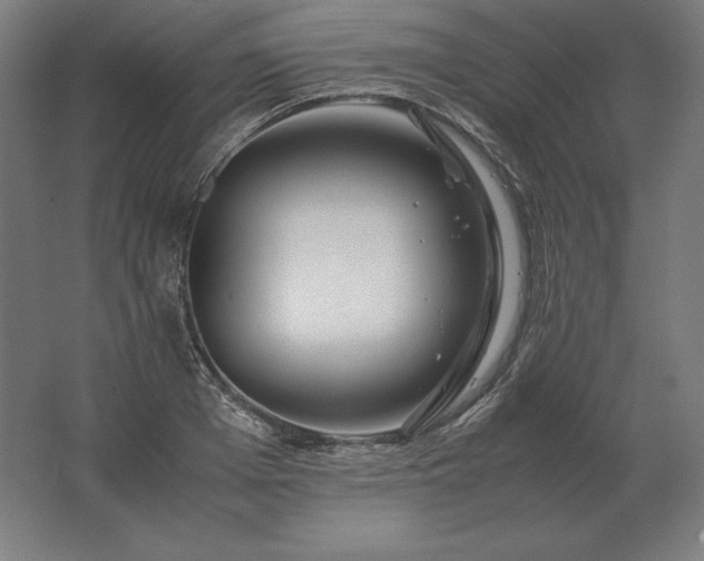X0000062800985200512290244