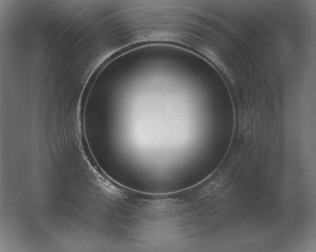 X0000062800988200512290244