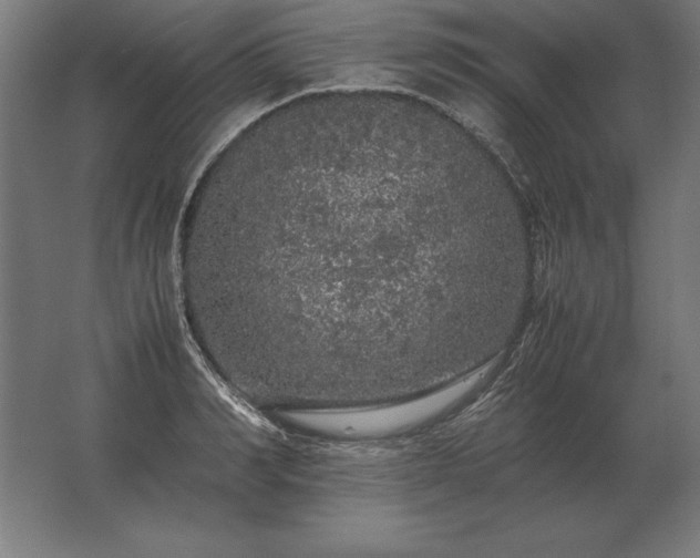 X0000062800990200512290244
