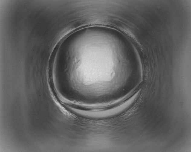 X0000062800991200512290244