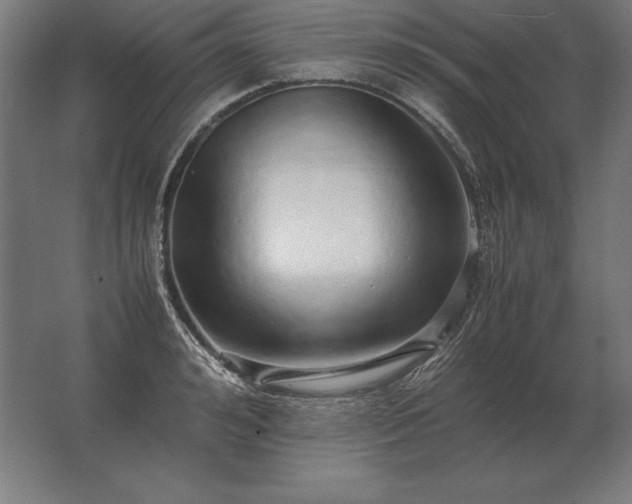 X0000062800992200512290244