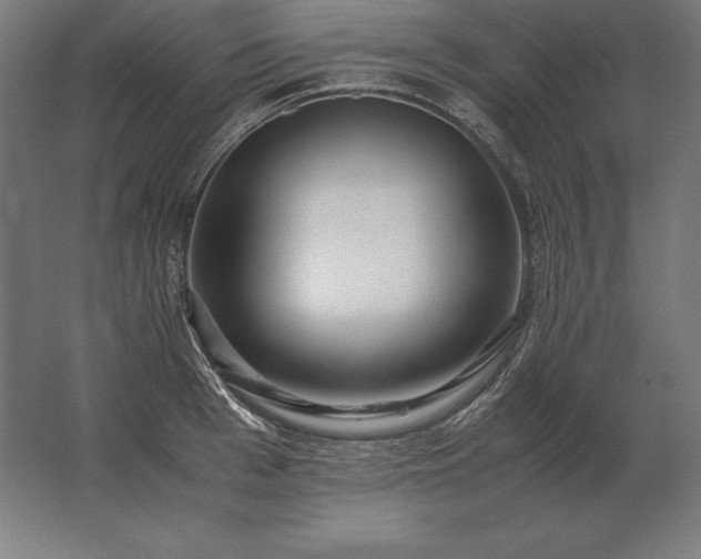 X0000062800993200512290244