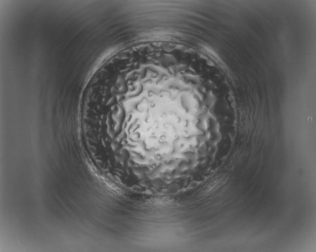 X0000062800994200512290244