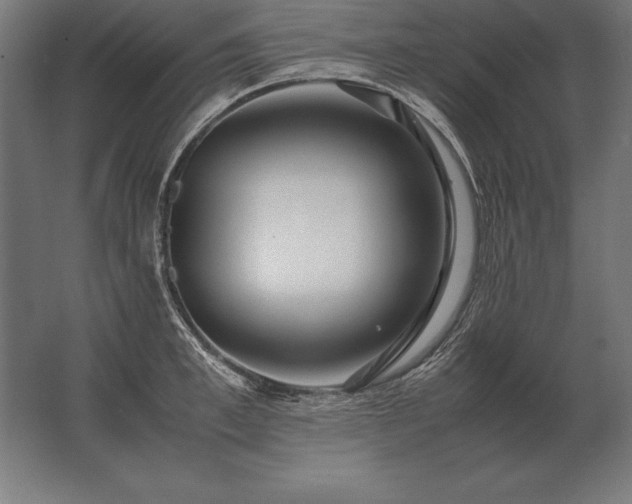 X0000062800997200512290244