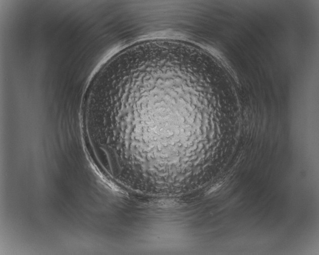 X0000062800998200512290244