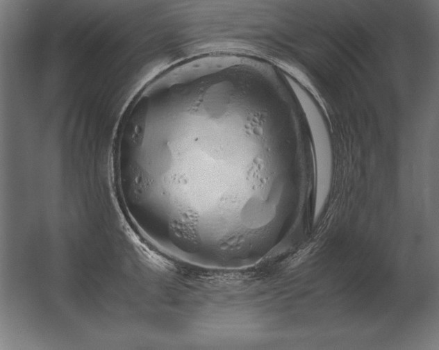 X0000062800999200512290244