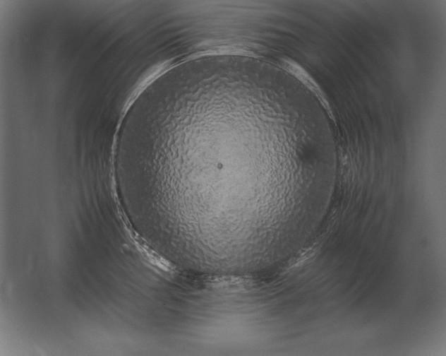 X0000062801002200512290244