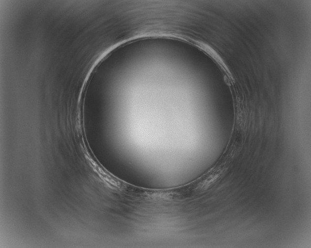X0000062801004200512290244