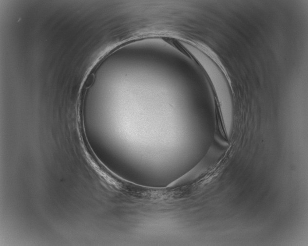X0000062801005200512290244