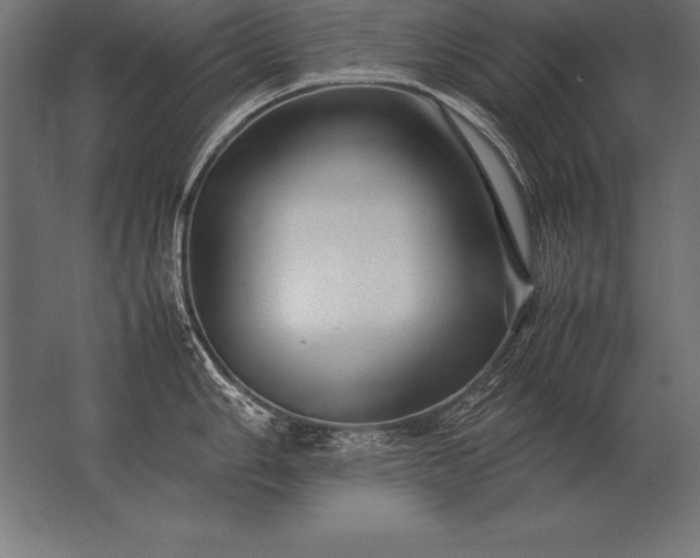 X0000062801006200512290243
