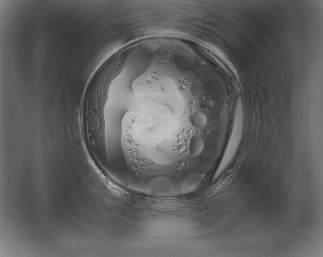 X0000062801007200512290243