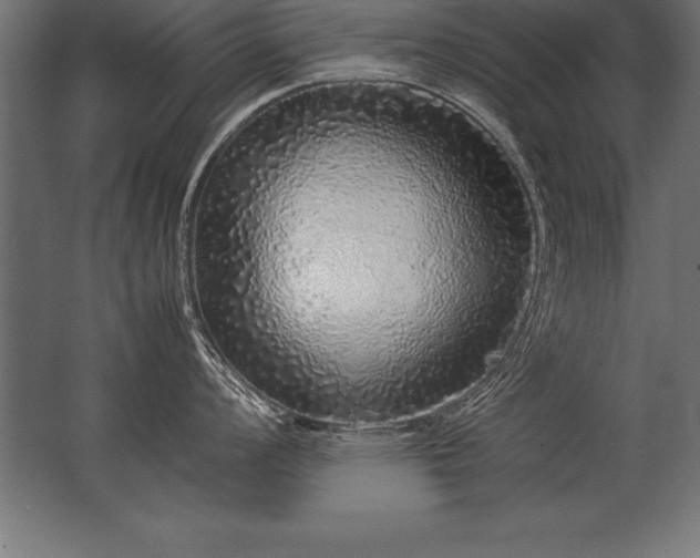 X0000062801008200512290243