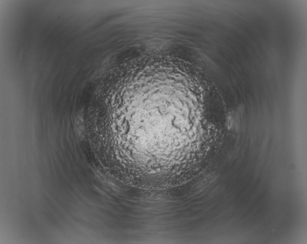 X0000062801011200512290243