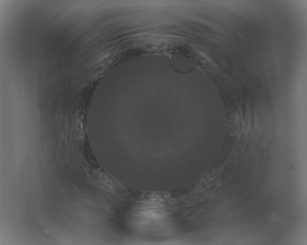 X0000062801013200512290243
