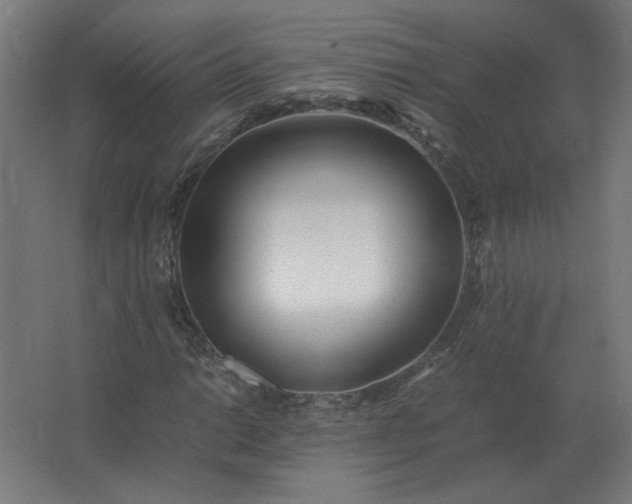 X0000062801014200512290243