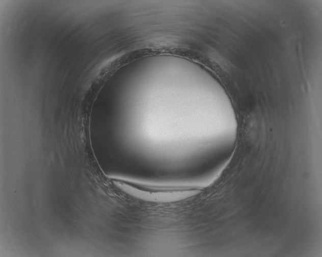 X0000062801016200512290243