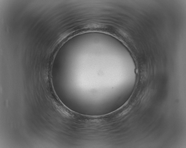 X0000062801017200512290243