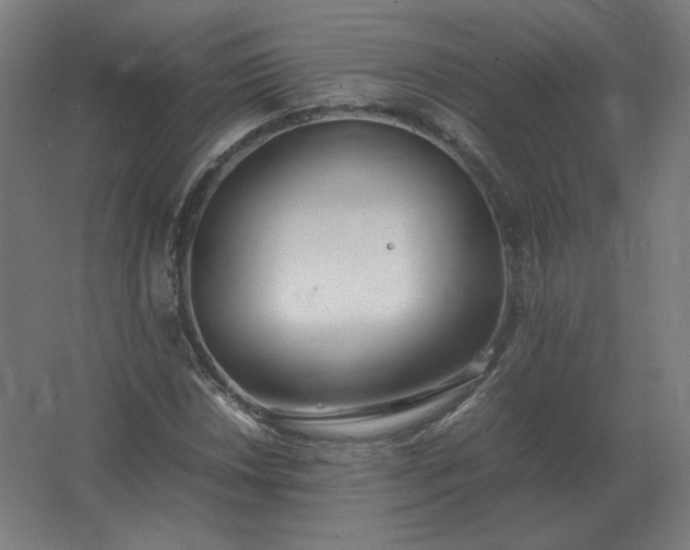 X0000062801018200512290243