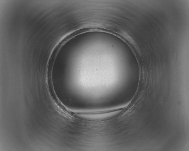 X0000062801020200512290243