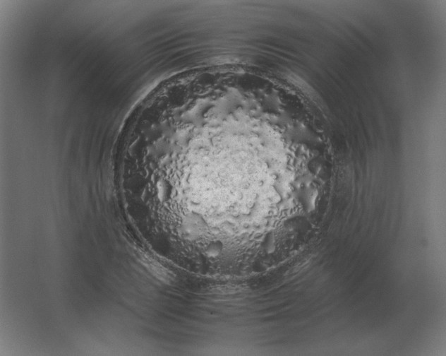 X0000062801023200512290243