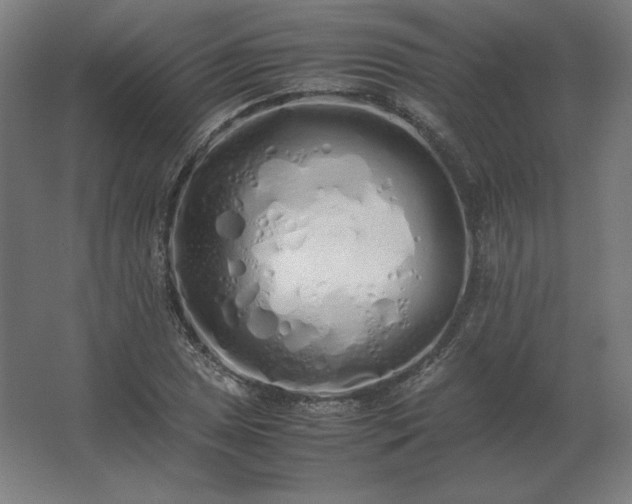 X0000062801025200512290243