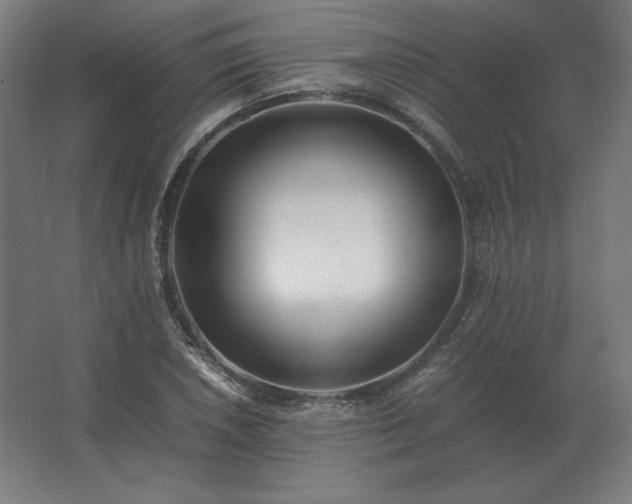 X0000062801026200512290243