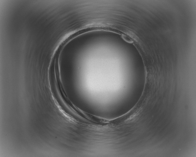 X0000062801030200512290243