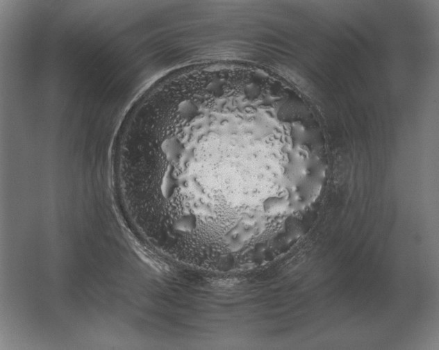 X0000062801031200512290243