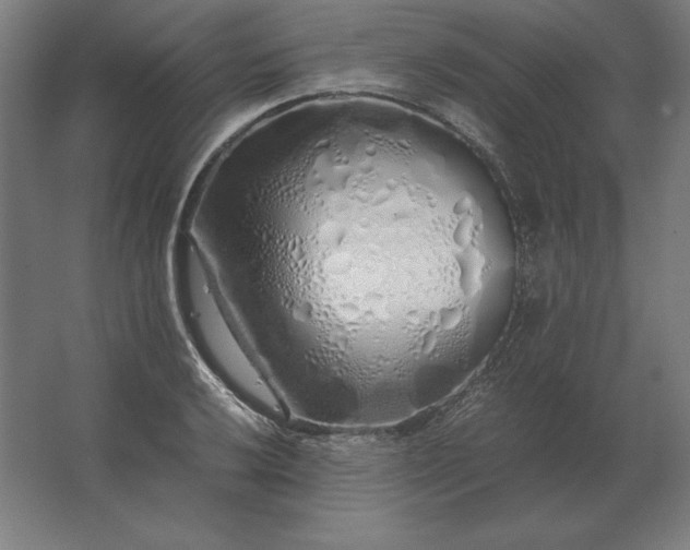 X0000062801032200512290243