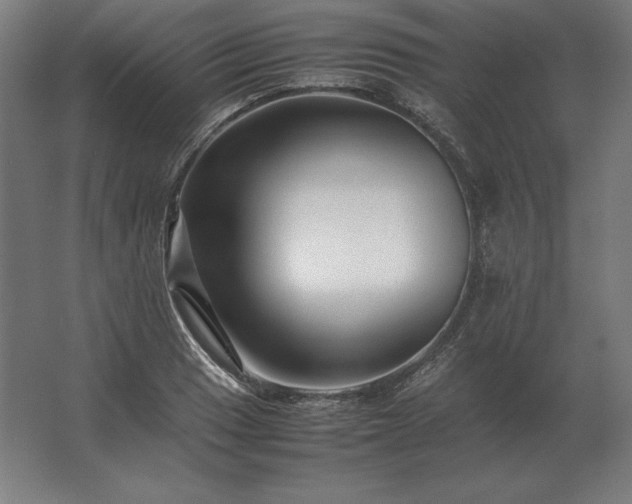 X0000062801033200512290243