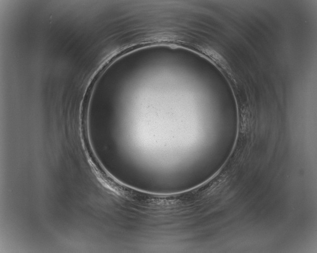 X0000062801039200512290243