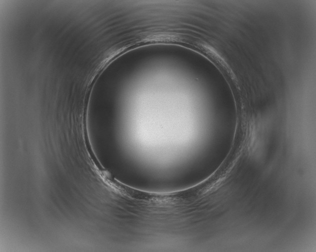 X0000062801041200512290243