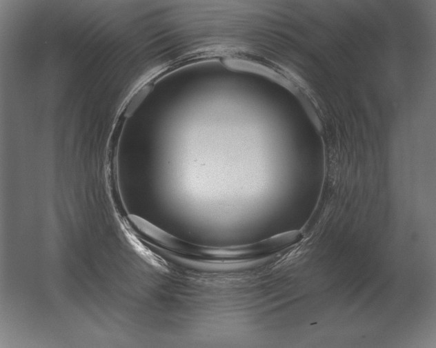 X0000062801042200512290243