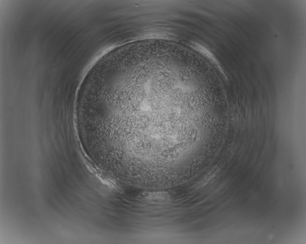 X0000062801043200512290243