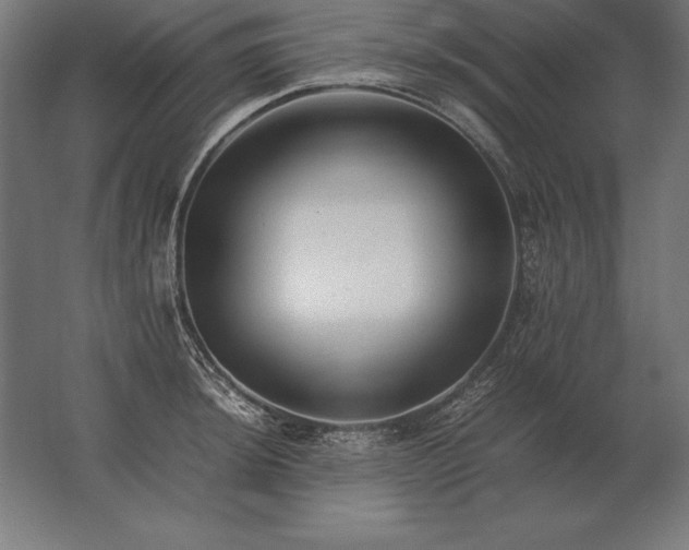 X0000062801044200512290243