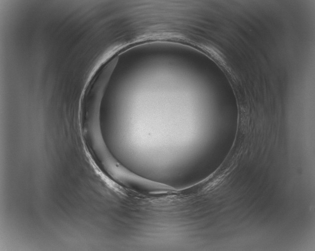 X0000062801046200512290243